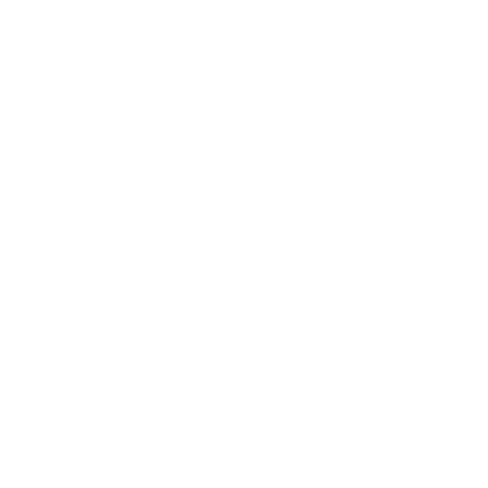 iso100neg